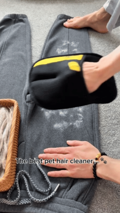 Petza Pet Hair Remover Gloves