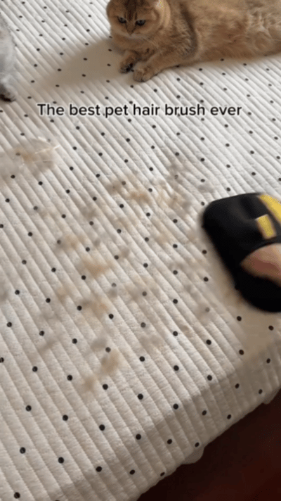 Petza Pet Hair Remover Gloves